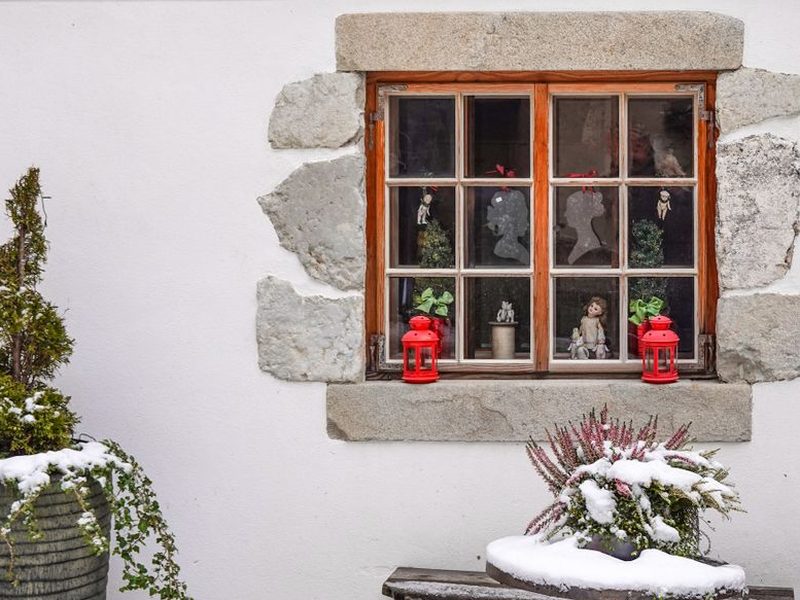 Plantas de interior junto a una ventana en invierno