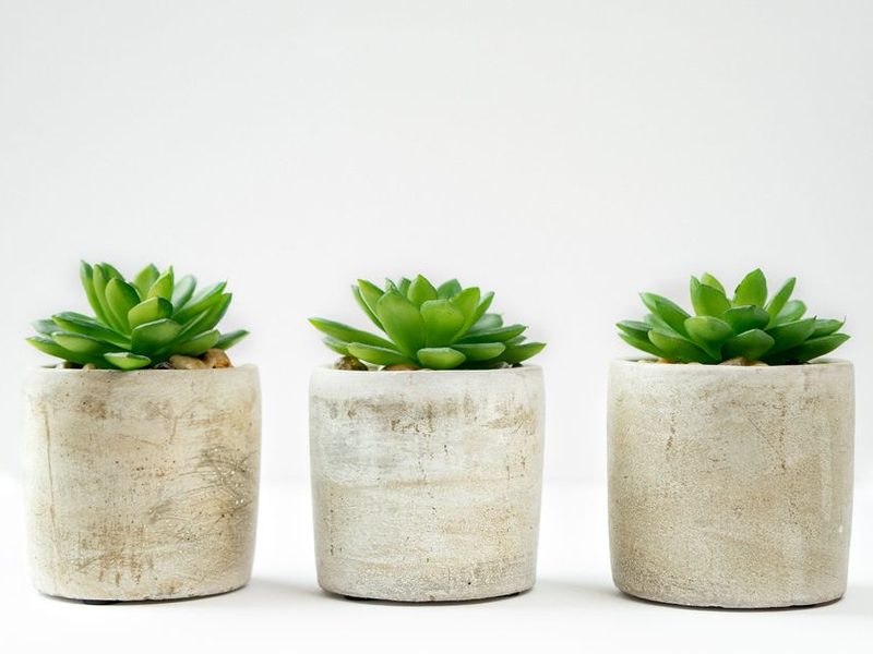 Macetas de cemento con plantas